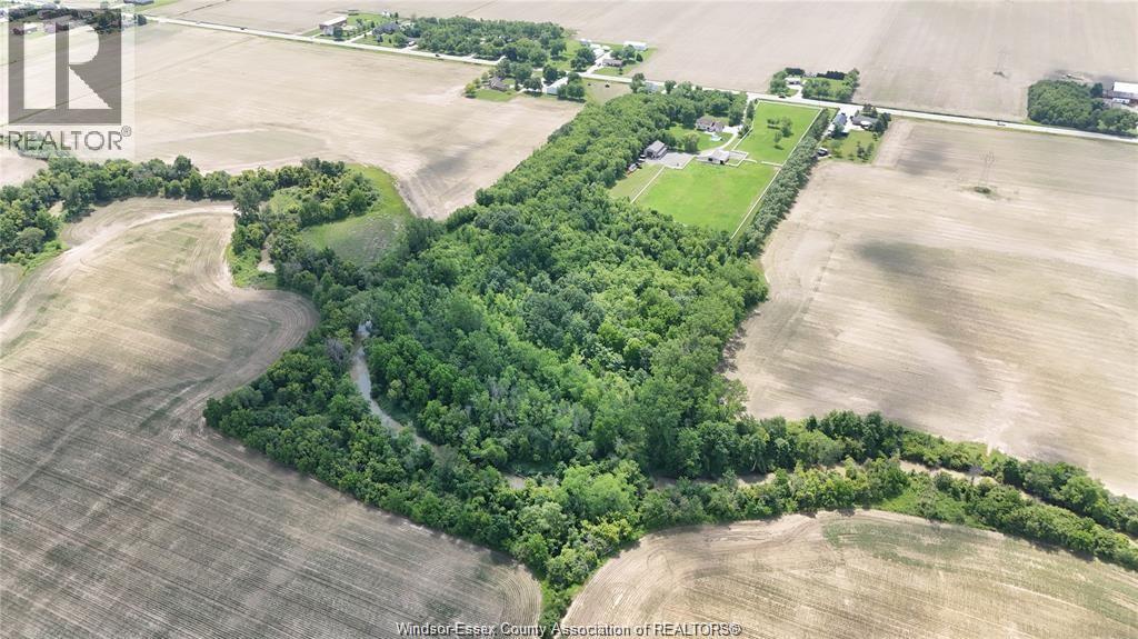 1418 County Rd 31, Lakeshore, Ontario  N0R 1S0 - Photo 44 - 26023381
