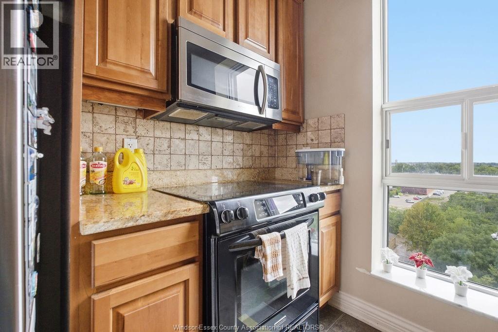 1225 Riverside Drive Unit# 801, Windsor, Ontario  N9A 0A2 - Photo 10 - 26023312