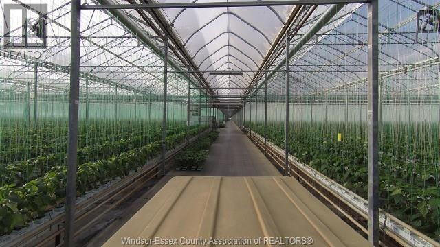 1475 County Rd 34, Kingsville, Ontario  N0P 2G0 - Photo 3 - 26023410