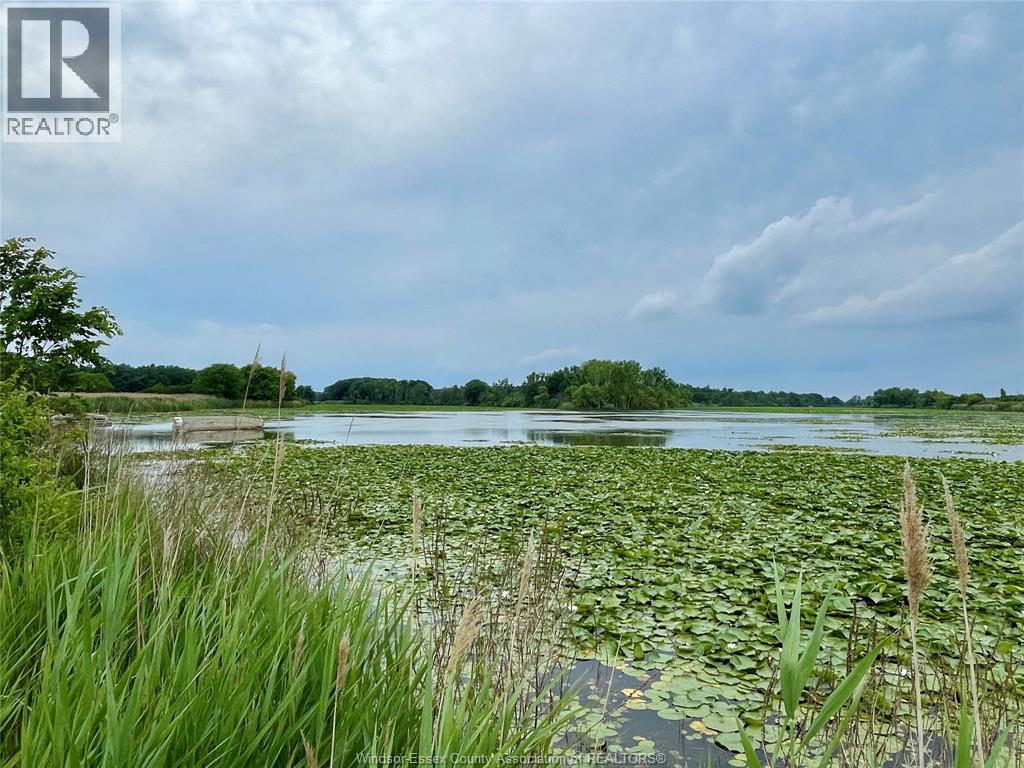 3371 County Road 20, Amherstburg, Ontario  N9V 2Y8 - Photo 27 - 26023669