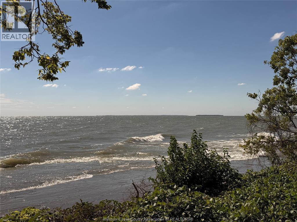 537 South Shore, Pelee Island, Ontario  N0R 1M0 - Photo 10 - 26023963