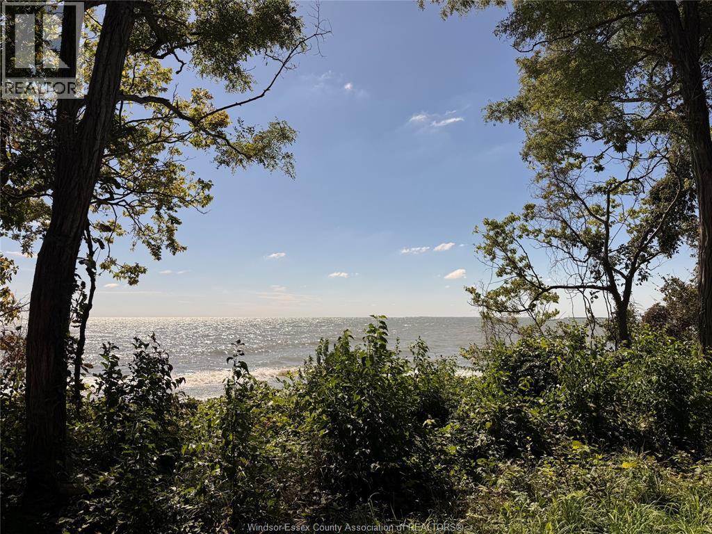 537 South Shore, Pelee Island, Ontario  N0R 1M0 - Photo 11 - 26023963