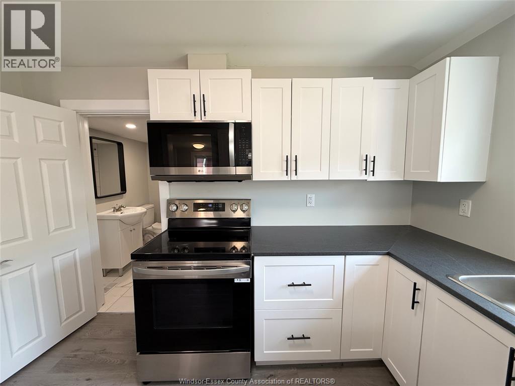 1539 Windermere Road, Windsor, Ontario  N8Y 3G2 - Photo 14 - 26024203