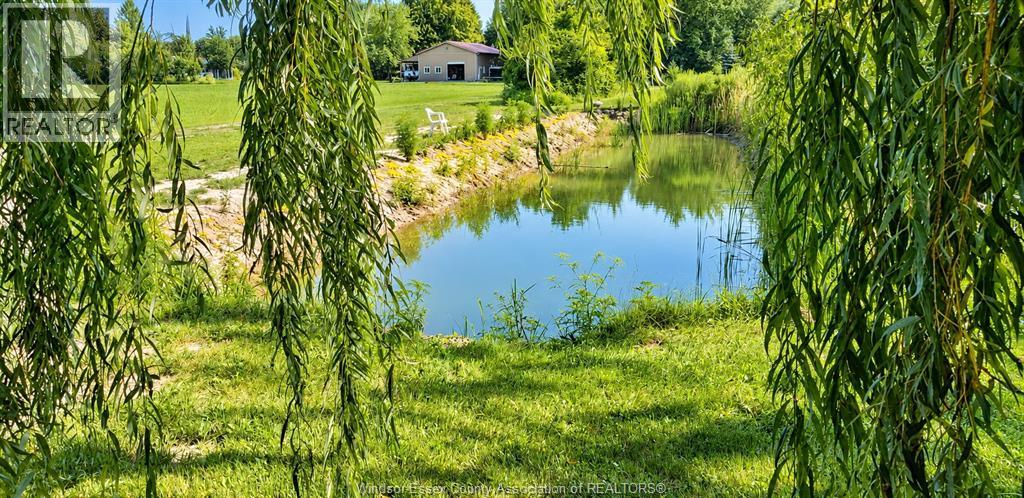 2890 County Road 20 East, Harrow, Ontario  N0R 1G0 - Photo 46 - 26026069