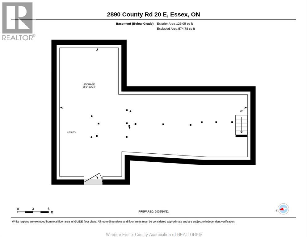 2890 County Road 20 East, Harrow, Ontario  N0R 1G0 - Photo 49 - 26026069